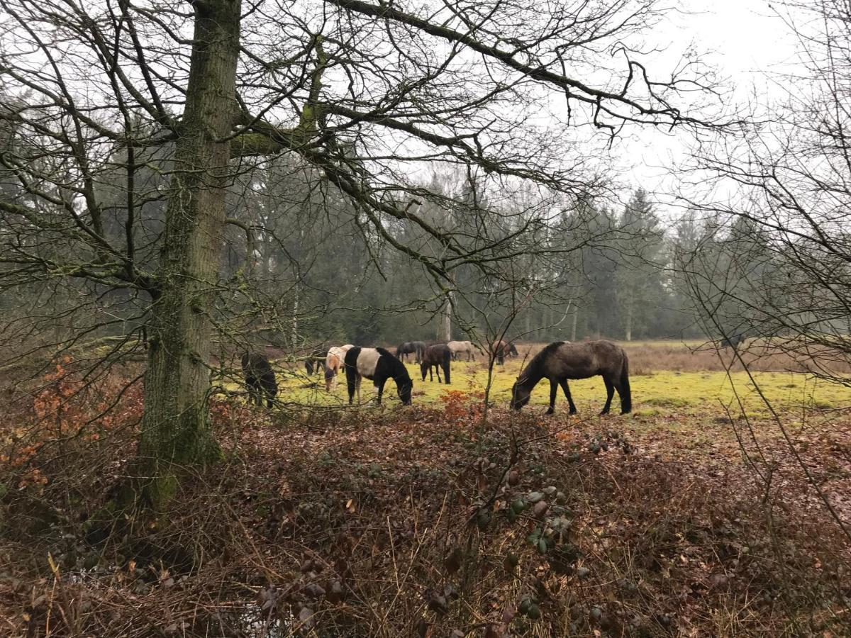 De Kempse Hoeve B&B ボクステル エクステリア 写真